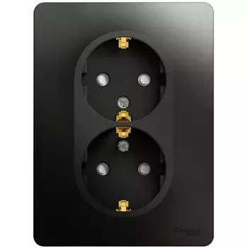 Розетка двойная с заземлением и шторками (антрацит) Systeme Electric Glossa GSL000726