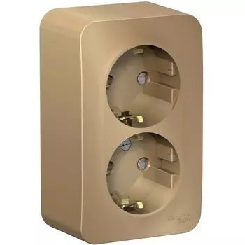 Розетка двойная с заземлением и шторками (титан) Systeme Electric Blanca BLNRA011214