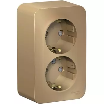 Розетка двойная с заземлением и шторками (титан) Systeme Electric Blanca BLNRA011204