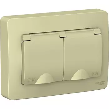 Розетка двойная с заземлением, шторками и крышкой (бежевый) Systeme Electric Blanca BLNRS441127