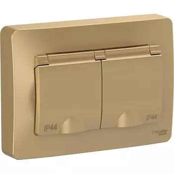 Розетка двойная с заземлением, шторками и крышкой (титан) Systeme Electric Blanca BLNRS441124
