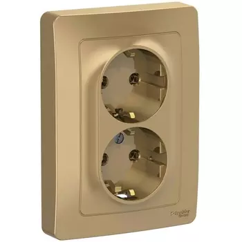 Розетка двойная с заземлением (титан) Systeme Electric Blanca BLNRS001024