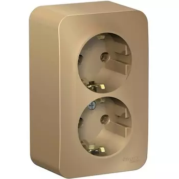 Розетка двойная с заземлением (титан) Systeme Electric Blanca BLNRA010214