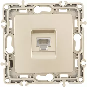 Розетка Ethernet RJ-45 Arte Milano am-217 217.45-1.shampan