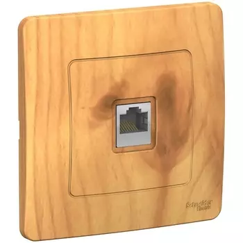 Розетка Ethernet RJ-45 (ясень) Systeme Electric Blanca BLNIS045005