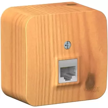 Розетка Ethernet RJ-45 (ясень) Systeme Electric Blanca BLNIA045005