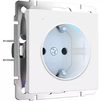 Розетка с подсветкой (белый матовый) Werkel W1171461 (a062405)