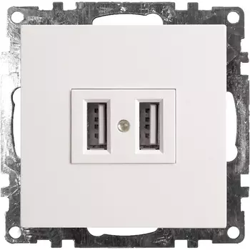 Розетка с USBх2 (белый) Stekker Катрин 39686