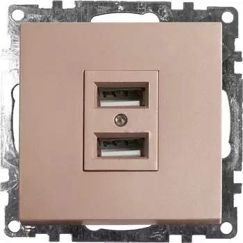 Розетка с USBх2 (шампань) Stekker Катрин 39602