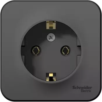 Розетка с заземлением (антрацит) Systeme Electric Blanca BLNRA010106