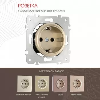 Розетка с заземлением Arte Milano am-202 202.40-1.shampan