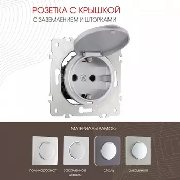 Розетка с заземлением и крышкой Arte Milano am-202 202.41-1.silver
