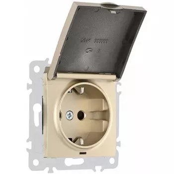 Розетка с заземлением и крышкой Arte Milano am-206 206.41-1.shampan