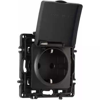 Розетка с заземлением и крышкой Arte Milano am-217 217.41-1.black