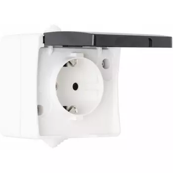 Розетка с заземлением и крышкой Arte Milano am-309 309.40-1.grey