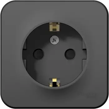 Розетка с заземлением и шторками (антрацит) Systeme Electric Blanca BLNRA011106