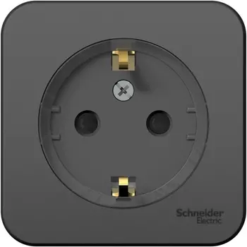 Розетка с заземлением и шторками (антрацит) Systeme Electric Blanca BLNRA111116