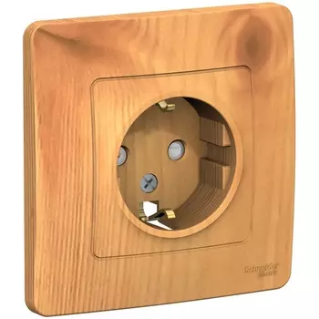 Розетка с заземлением и шторками (ясень) Systeme Electric Blanca BLNRS001115