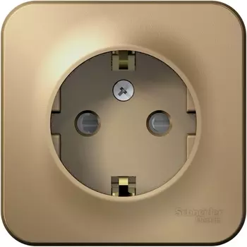 Розетка с заземлением и шторками (титан) Systeme Electric Blanca BLNRA011104