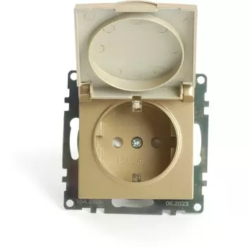 Розетка с заземлением и защитной крышкой (золото) Stekker Катрин 49222