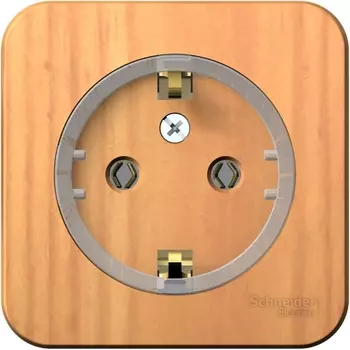 Розетка с заземлением (ясень) Systeme Electric Blanca BLNRA110115