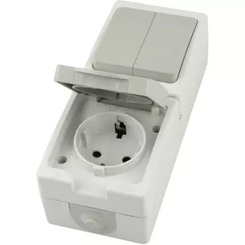 Розетка с заземлением с двухклавишным выключателем (белый,серый) Stekker Велена 49726