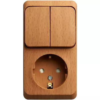 Розетка с заземлением с двухклавишным выключателем (бук) Systeme Electric BPA16-202T