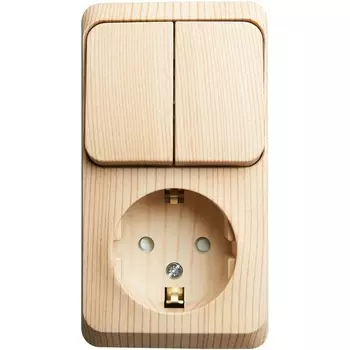 Розетка с заземлением с двухклавишным выключателем (сосна) Systeme Electric BPA16-202D
