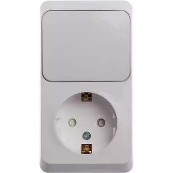 Розетка с заземлением с одноклавишным выключателем (белый) Systeme Electric BPA16-201B