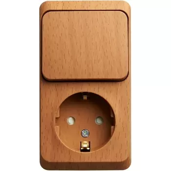 Розетка с заземлением с одноклавишным выключателем (бук) Systeme Electric BPA16-201T