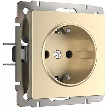 Розетка с заземлением (шампань) Werkel W1171011 (a050867)