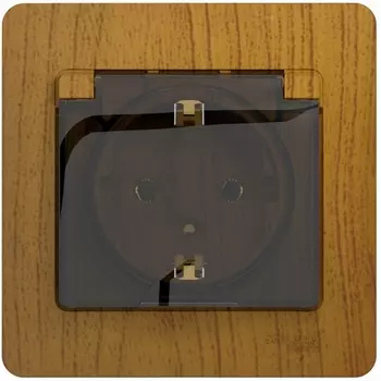 Розетка с заземлением, шторками и крышкой (дуб) Systeme Electric Glossa GSL000546