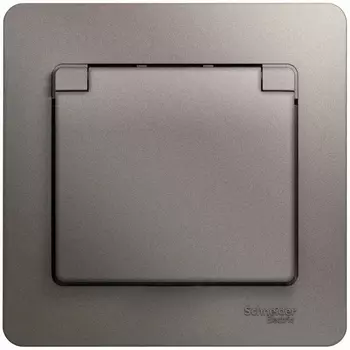 Розетка с заземлением, шторками и крышкой (платина) Systeme Electric Glossa GSL001246