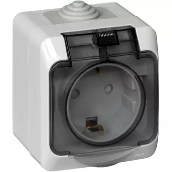 Розетка с заземлением, шторками и крышкой (серый) Systeme Electric Этюд PA16-044C
