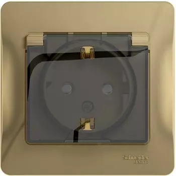 Розетка с заземлением, шторками и крышкой (титан) Systeme Electric Glossa GSL000448