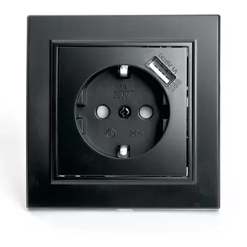 Розетка с заземлением, шторками и USB (черный) Stekker Эрна 39480