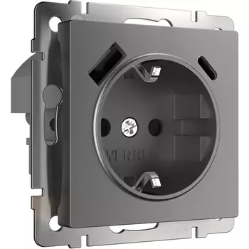 Розетка с заземлением,шторками и USB Type A+С (графит матовый) Werkel W1171764 (a063106)