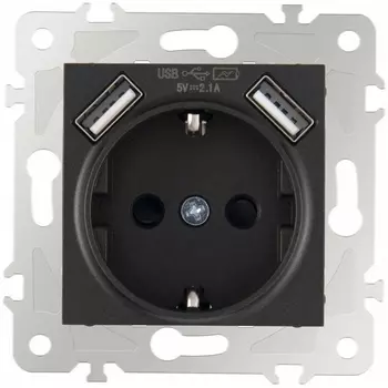 Розетка с заземлением, шторками и USBх2 DC 5V 2.1A Arte Milano am-203 203.47-1.black