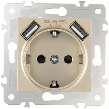 Розетка с заземлением, шторками и USBх2 DC 5V 2.1A Arte Milano am-203 203.47-1.shampan