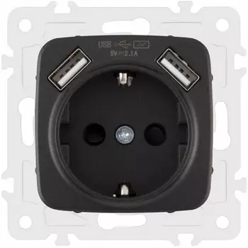 Розетка с заземлением, шторками и USBх2 DC 5V 2.1A Arte Milano am-205 205.47-1.black
