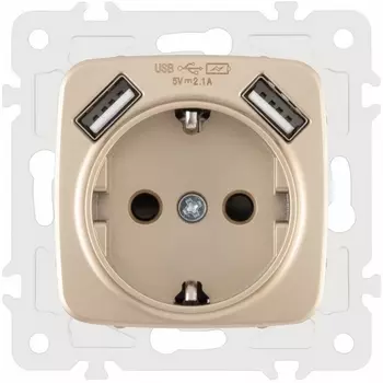 Розетка с заземлением, шторками и USBх2 DC 5V 2.1A Arte Milano am-205 205.47-1.shampan