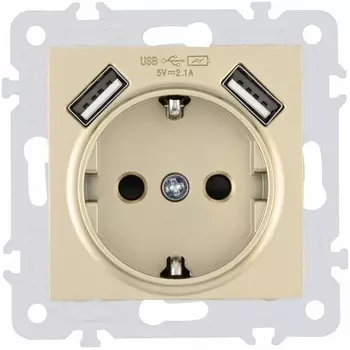 Розетка с заземлением, шторками и USBх2 DC 5V 2.1A Arte Milano am-206 206.47-1.shampan