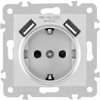 Розетка с заземлением, шторками и USBх2 DC 5V 2.1A Arte Milano am-206 206.47-1.silver