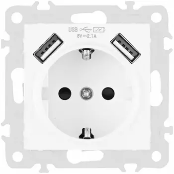 Розетка с заземлением, шторками и USBх2 DC 5V 2.1A Arte Milano am-206 206.47-1.white