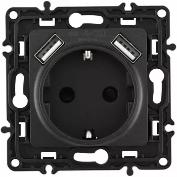 Розетка с заземлением, шторками и USBх2 DC 5V 2.1A Arte Milano am-217 217.47-1.black