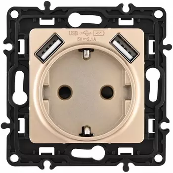 Розетка с заземлением, шторками и USBх2 DC 5V 2.1A Arte Milano am-217 217.47-1.shampan
