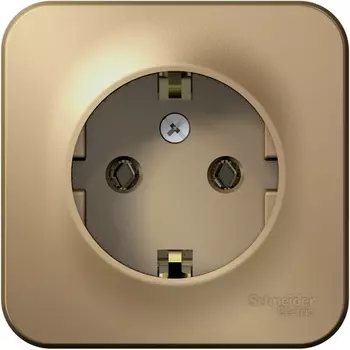 Розетка с заземлением (титан) Systeme Electric Blanca BLNRA010114