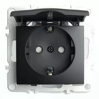 Розетка с заземлением защитной крышкой и шторками (черный) Stekker Эрна 49156
