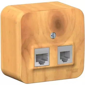 Розетка телефонная RJ-11 + Ethernet RJ-45 (ясень) Systeme Electric Blanca BLNIA045115