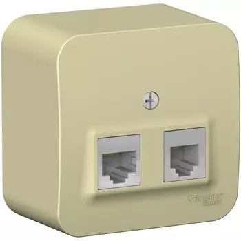 Розетка телефонная RJ-11 + Ethernet RJ-45 (бежевый) Systeme Electric Blanca BLNIA045117